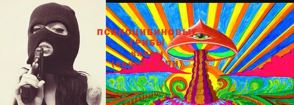 PSILOCYBIN Алексеевка