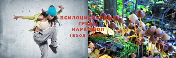 PSILOCYBIN Алексеевка